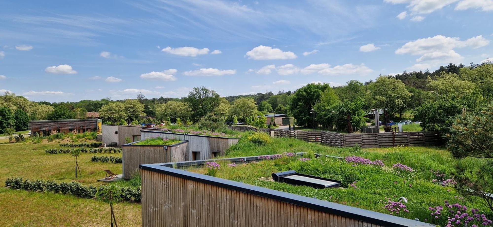 Domaine De L'Epau Eco-Resort Yvre-l'Eveque Экстерьер фото